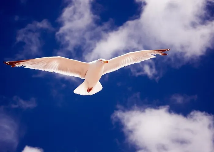 Two Brothers Astoria 3*